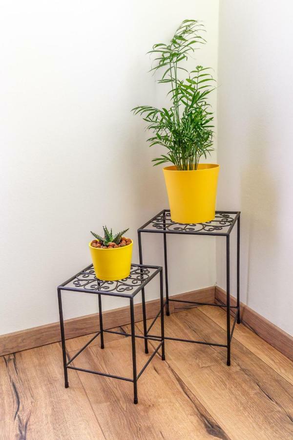 Apartment Arnold غييكا المظهر الخارجي الصورة